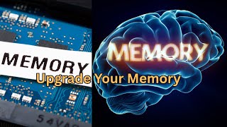 Top 11 Memory Tips from Neuroscientists | How to Improve Memory