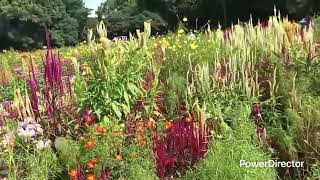 Japan summer time sept 2025
