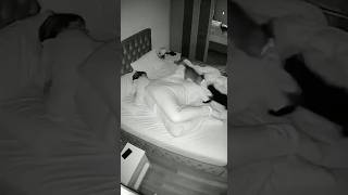 My Cats Woke Me Up Fighting… Then Picked a Fight With Me 😭