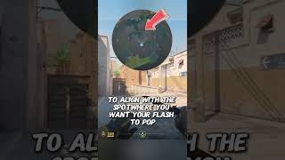 Did CS Build In-Game Utility Assist?
