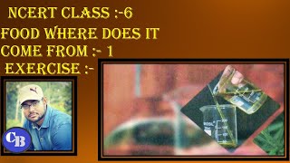NCERT Complete solution of  class 6 exercise