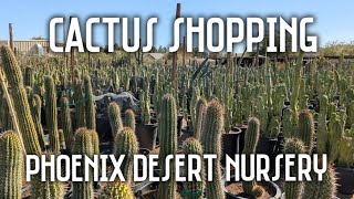 Cactus Shopping at Phoenix Desert Nursery | Huge Selection & Amazing Deals!