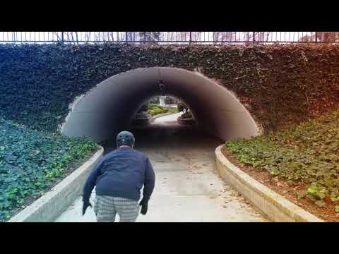 Skate Video