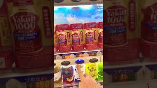 【ヤクルト1000】売り切れ続出のヤクルト1000が売っていた❗️ #ヤクルト #ヤクルト1000