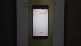 Mongo Dato - Google Assistant with Node.js and DialogFlow