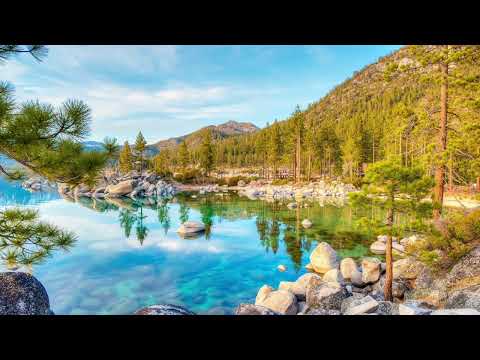 CMJ - 夏日物語