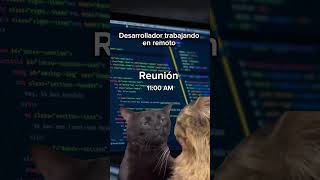 #programadorjunior #desarrolladorweb #programadorsenior