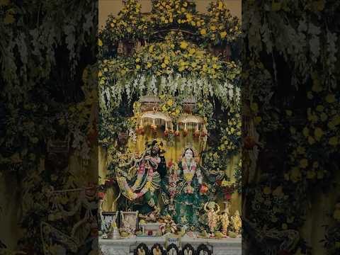 Krishna Janmashtami - Divine Moments #janmashthami #radhakrishna #iskcon #guwahati