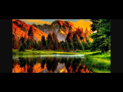 Psalms 119 in Malayalam verse 81 onwards
