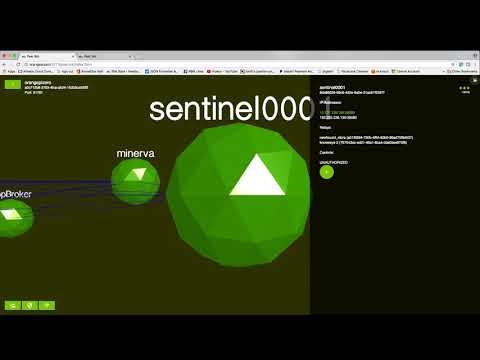Peer Bot Overview
