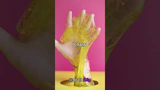 Facts About Your Brain That Are Almost Too Crazy to Believe 🧠😳