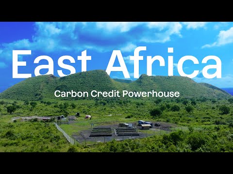 East Africa: Carbon Credit Powerhouse