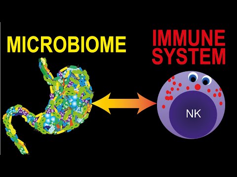 How the Microbiome influences your Immune System and Why it is Important!
