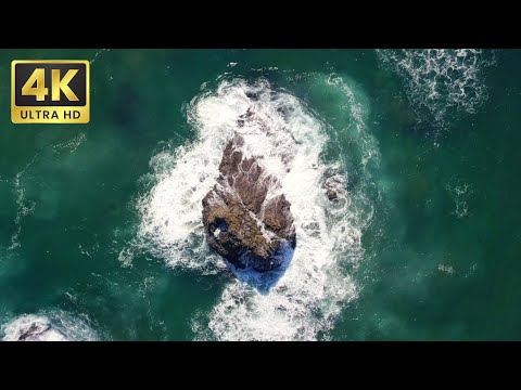 🌊 Calm Waves Crashing on the Shore | Free 4K Stock Library