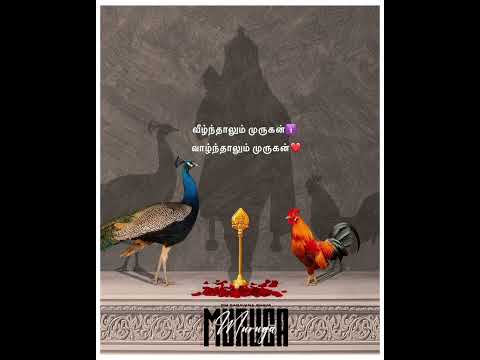 வீழ்ந்தாலும் முருகன் 🦚 வாழ்ந்தாலும் முருகன் 🙏