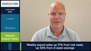 Lean Hog futures regain most of Wednesday’s losses. 10/10/24