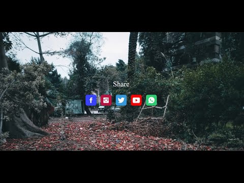 Cool Social Media Buttons With HTML and CSS
