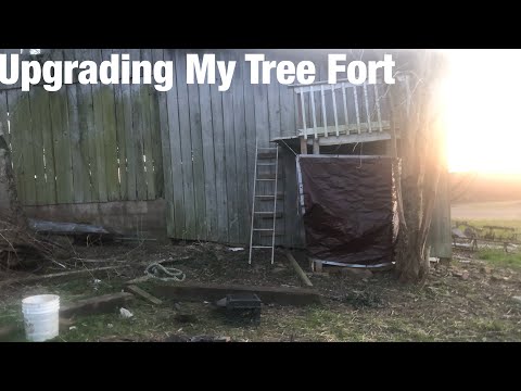 Upgrading My Tree Fort