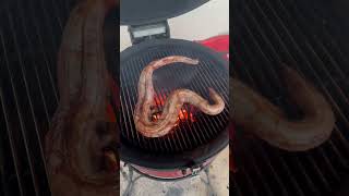 BBQ Rattlesnake #foryou #howto #cooking #rattlesnakes #cooking #food #grilling #barbecue #snake