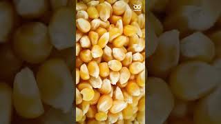 Fun Fact: The Microwave Was an Accidental Discovery!