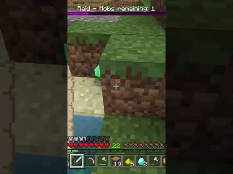 Successful raid! | Minecraft #minecraft #pillager #raid