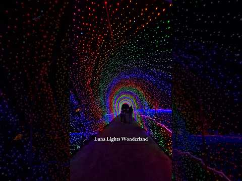 ✨️ Luna Lights Wonderland