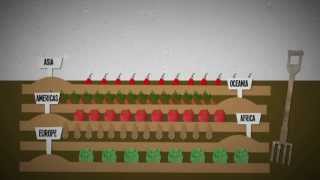 What is food insecurity? An explanation