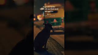 Do respect 🥺#artist #dog_features #exploremore #trending #doglover