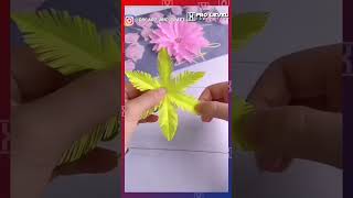 PRO LEVEL CREATIVITY #SHORTS, #PROLEVECREATIVITY, @NEXTLEVELCREATIVITY, #NEXTLEVELCREATIVITY,