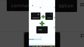 How to Quickly Force Quit a Frozen App on Mac
