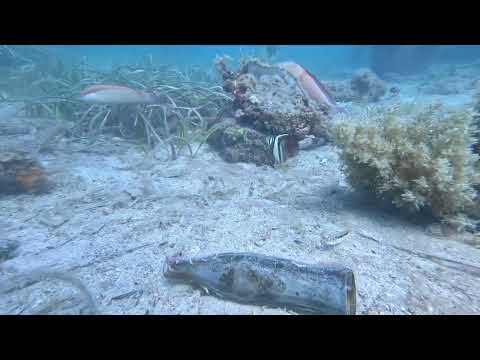 Robby’s Jetty, Nov 2024