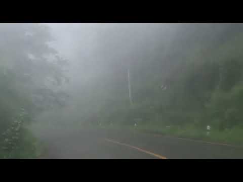 Fog in rainy season (Samoeng Chiang Mai)
