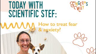 Scientific Stef: How to treat fear & anxiety