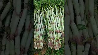 #shorts #agritools #farming2024 #agriculture  #JIKreactionagritools in farming 2024