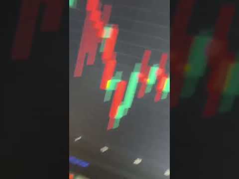 Learn Crypto while you still can | CryptoSchool 🔔