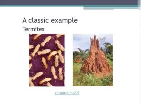 Complex Adaptive Systems