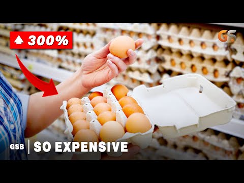 Egg prices in the US are at a record high. Why? | So Expensive