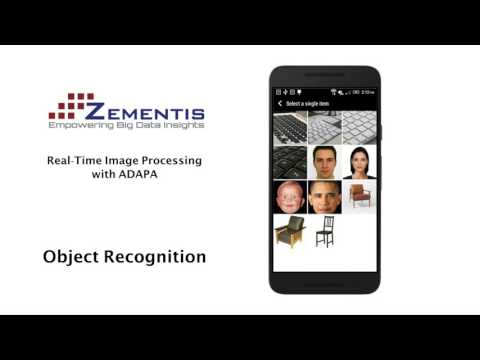 Deep learning model execution with ADAPA