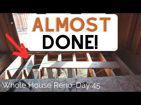 Replacing the Subfloor, Removing Insulation, & FINALLY Starting to Rebuild!