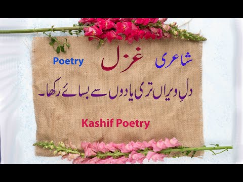 Heart Touching Best Ghazal | Romantic Poetry | Dil e Wiran Teri Yadon Say Bsaye Rakha | غزل