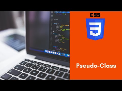 17 CSS Pseudo-Class