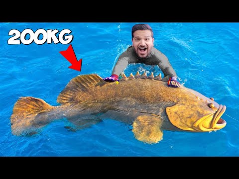 WE TRIED CATCHING BIGGEST FISH IN INDIA | MANGO FAMILY UNCUT