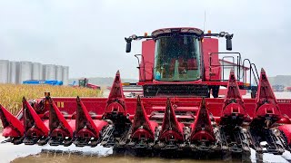 Start of Harvest Delayed. Everything is Ready Except for the Weather. 