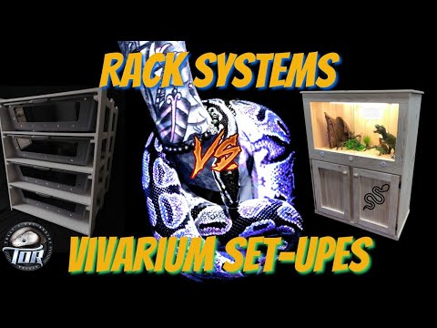 Racks systems VS Vivarium Set ups for BALL PYTHONS