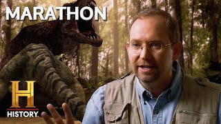 Prehistoric Killers Unleashed *Marathon* | Jurassic Fight Club | History