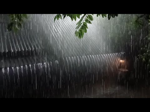 Heavy Rain on a Tin Roof for Sleeping, Deep Sleep with Thunderstorm Sounds on Metal Roof at Night😴😴😴