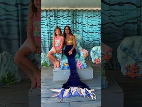 Spring break adventures around Tampa Bay - eco-boat tour, Weeki Wachee mermaid show, Mirada Lagoon