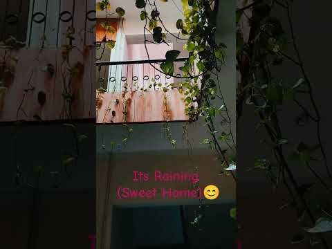 Rain... Gives Eternal Peace | #shorts #ibps #rrb #banking #sbipo