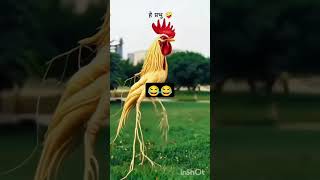 #dineshcomedy #funny bagheli commedy Dinesh yadav 😂😂