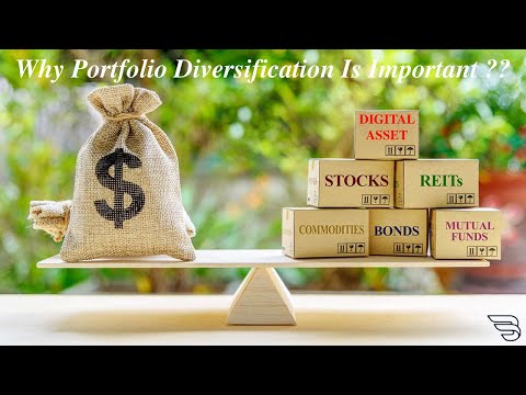 How to Diversify your Portfolio | what is portfolio diversification and why it is Important.